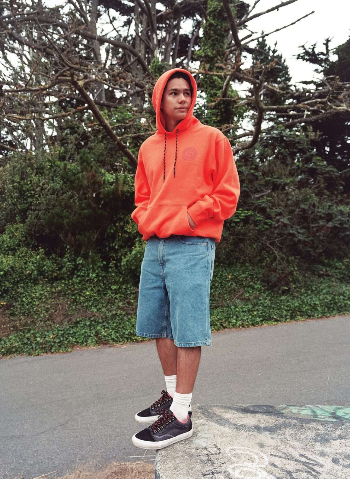 Vans Spitfire Old Skool 